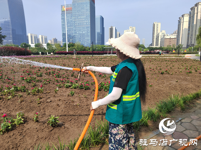高温炙烤大地 园林工人用汗水守护城市绿荫