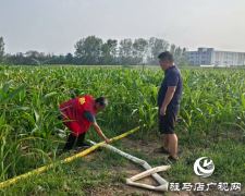 经济开发区关王庙乡：抗旱保秋 全力守护“粮袋子”