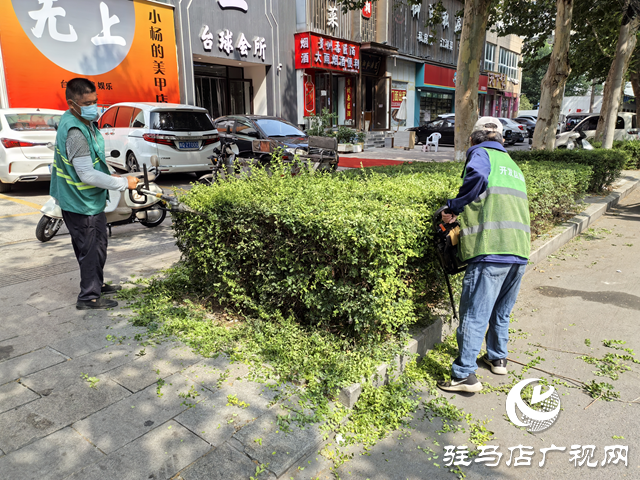  开发区城市管理局：全力打好“战高温 保绿荫”攻坚战 守护城市绿色风景线
