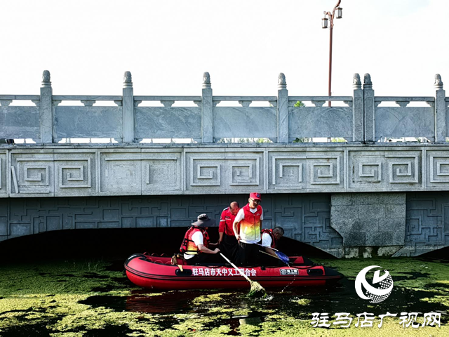 天中义工开展清理河道环境活动 守护碧水清流