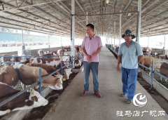 西平县二郎乡小王庄村：肉牛养殖为乡村振兴提供充足的“牛动力”