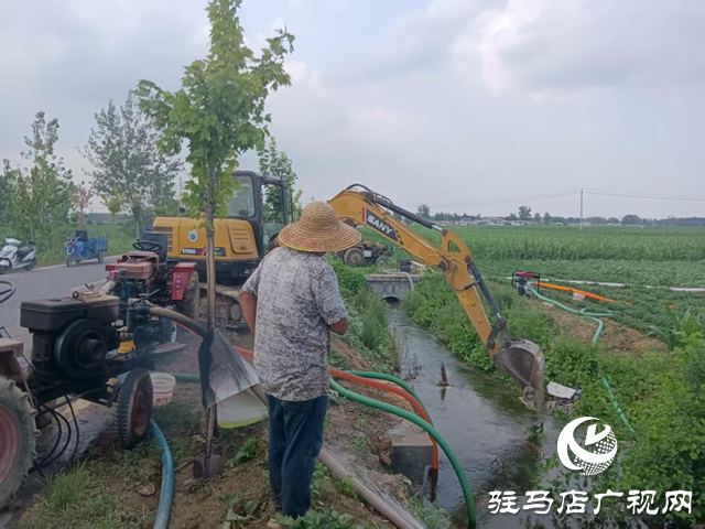 驿城区诸市镇：干群同心掀起抗旱保秋热潮