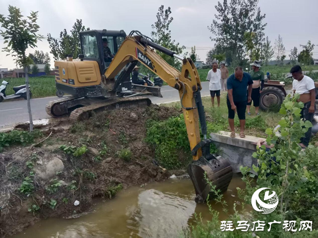 驿城区诸市镇：干群同心掀起抗旱保秋热潮