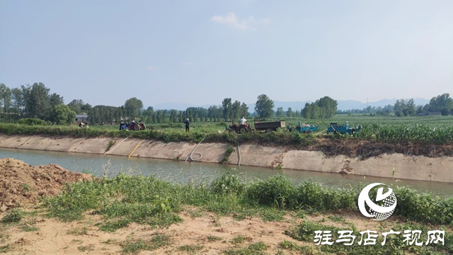 驻马店驿城区：战高温 抗旱情保秋粮
