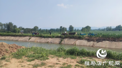驻马店驿城区：战高温 抗旱情保秋粮