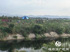 驻马店市驿城区：凝心聚力战高温 抗旱补墒保秋粮