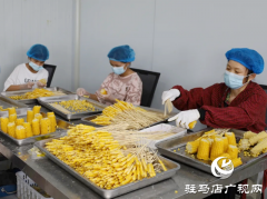 新蔡县涧头乡：玉米&ldquo;串&rdquo;起增收路