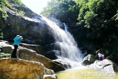 【大美天中】九龙瀑池杉林成夏日避暑热门地 山水交响绘就豫南清凉画卷