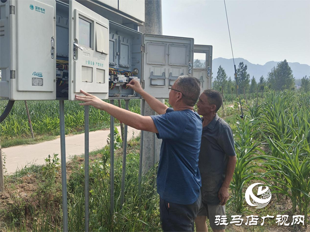 驿城区蚁蜂镇:全力以赴战高温 筑牢安全“防护网”
