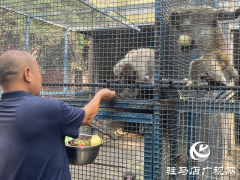 驻马店南海动物园出&ldquo;凉&rdquo;方 助动物度夏