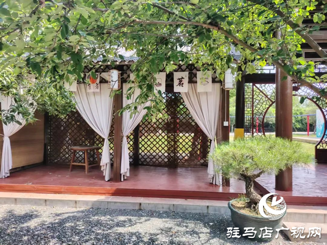泌阳首届“和园杯”少儿象棋赛启动