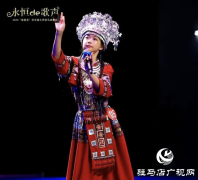 “星麦克”杯夏日激情演唱会在驻马店璀璨开唱