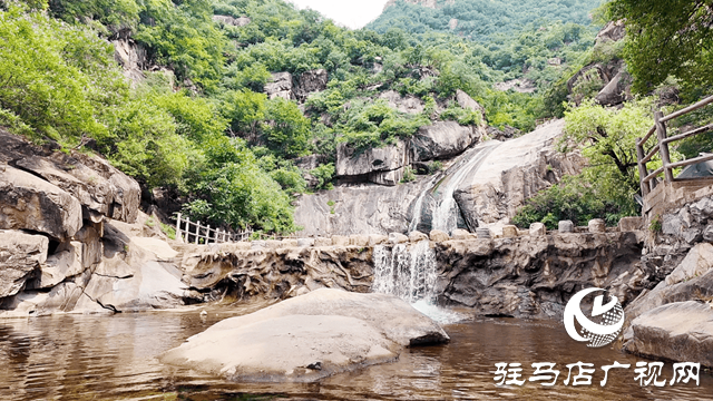 大暑时节:于热浪中寻一份清凉诗意