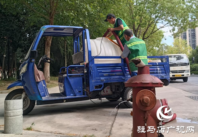 驿城区:抗旱浇水不停歇 精灌细护保绿忙