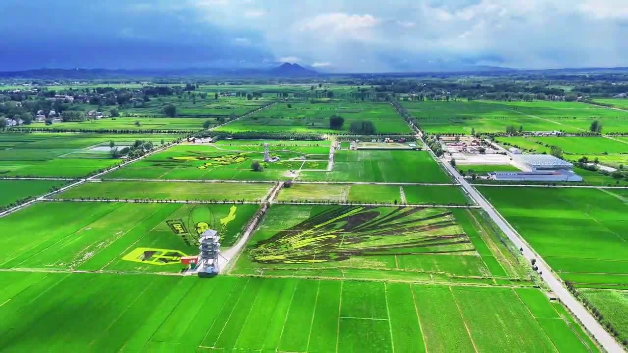 确山县：稻田为&ldquo;画布&rdquo;秧苗为墨
