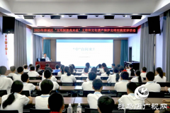 驿城区开展“文明探源我来说”文物和文化遗产保护文明实践宣讲活动