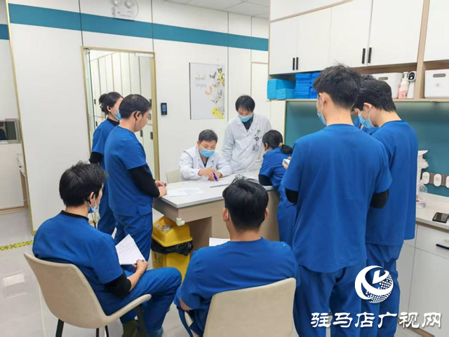 高温持续 留守宠物如何安然度夏?