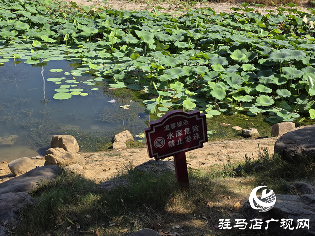 防溺水日:公园严禁游泳 共护生命安全