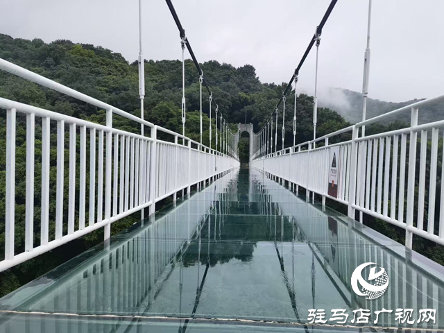 驻马店驿城区:生态旅游为笔 绘就乡村振兴新画卷