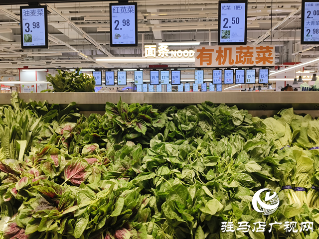 “平价护眼菜”苋菜大量上市 营养美味引市民热购