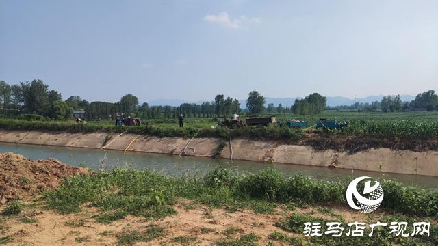 驻马店市驿城区：多措并举战旱情 齐心协力保秋粮