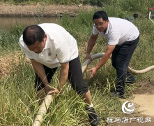 驿城区香山街道：多源联动为秋作物&ldquo;解渴&rdquo;