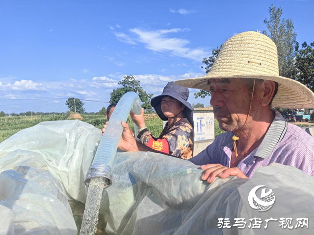 驿城区沙河店镇:高温抗旱保民生 临时取水点解民忧