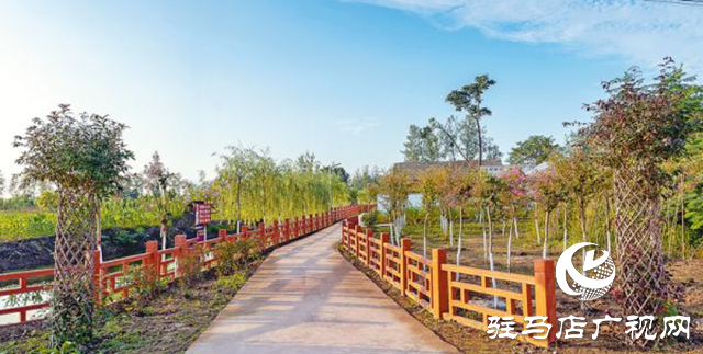 正阳县彭桥乡大刘村:“五星”创建引领 赋能乡村全面振兴