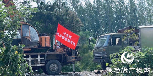 驿城区水屯镇:干群携手抗旱保秋 全力守护粮食安全