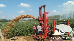 遂平县玉山镇：多点发力抗旱保秋 筑牢粮食安全防线