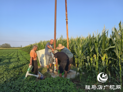 与时间赛跑！大余庄社区争分夺秒修井保玉米灌溉