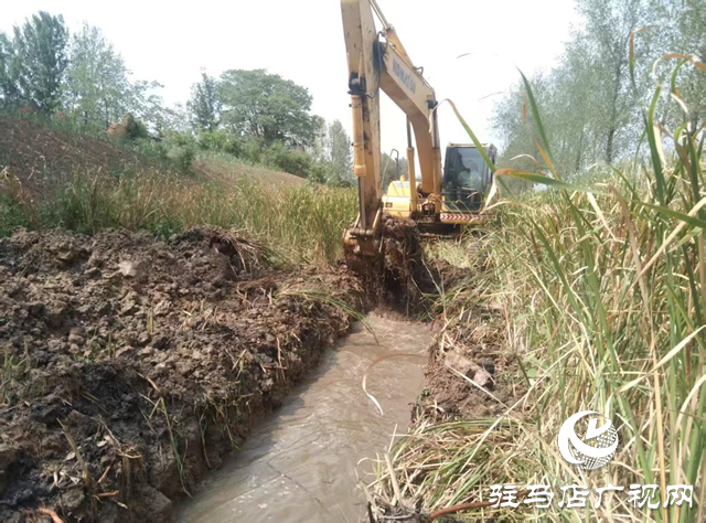 遂平县玉山镇:多点发力抗旱保秋 筑牢粮食安全防线