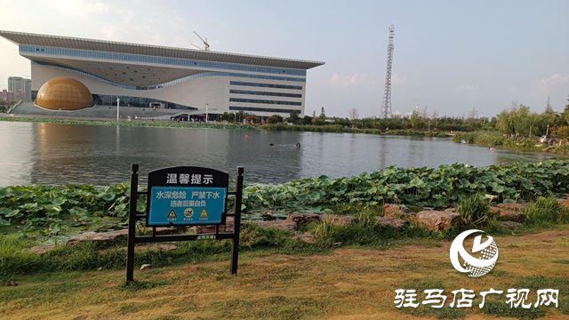 驻马店市青少年宫景观湖屡现违规游泳 安全隐患引担忧