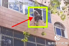 【文明风采天中行】一张防滑草垫托起百岁生命