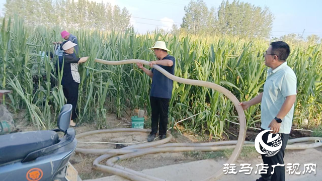 驿城区朱古洞乡：驻村第一书记抗旱一线当先锋 干群同心保民生