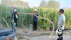驿城区朱古洞乡：驻村第一书记抗旱一线当先锋 干群同心保民生