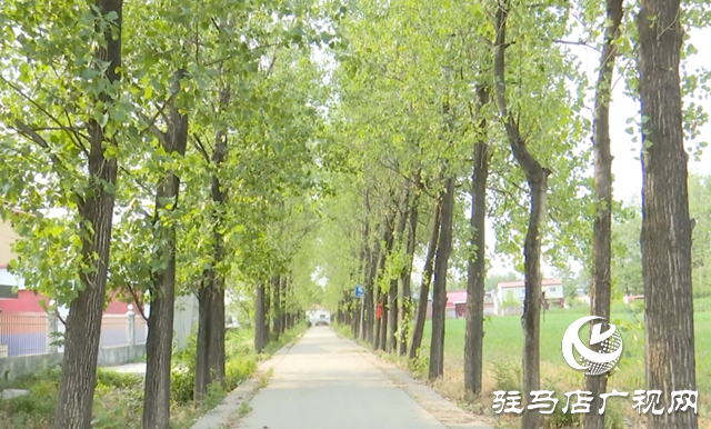 驿城区朱古洞村:文明生态村建设铺就乡村振兴路