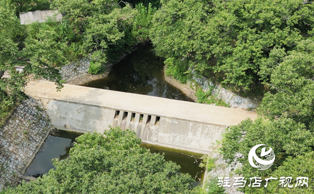 驿城区老河乡:百年古栗园 绘就生态画卷