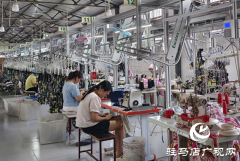 驻马店市驿城区：&ldquo;致富车间&rdquo; 织就村民幸福锦图