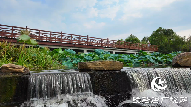 天中湿地植物园:从污水净化到诗意栖居 勾勒生态新图景
