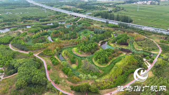 天中湿地植物园:从污水净化到诗意栖居 勾勒生态新图景