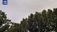 高湿天气致强降雨多发，气象专家分析8月下旬天气形势