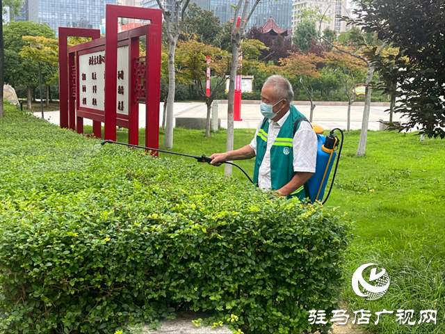 驻马店市区白粉虱活跃引关注 园林部门加强防治提醒市民防护