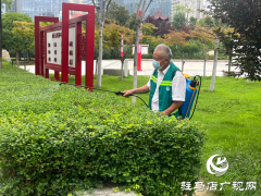 驻马店市区白粉虱活跃引关注 园林部门加强防治提醒市民防护