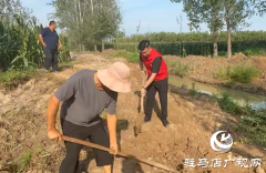 千亩良田喊&ldquo;渴&rdquo; 90后支书率众挖通&ldquo;生命线&rdquo;