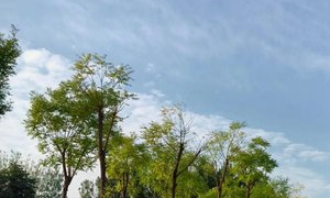 最高气温37℃以上！驻马店发布橙色预警提醒做好防范