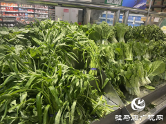 秋季蔬菜供应充足价格稳 市民采购便利实惠多