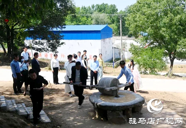 泌阳县王店镇昌庄村:山水绘就画卷 芳香点亮乡村新篇