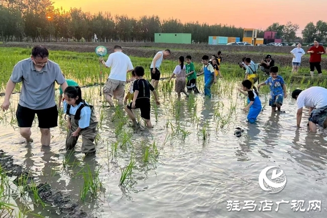 “稻梦田园·活力乡村”体育嘉年华将在确山留庄稻田公园开启