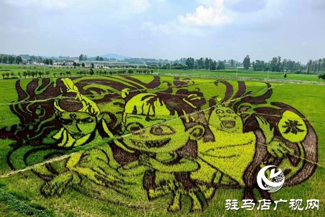 “稻梦田园·活力乡村”体育嘉年华将在确山留庄稻田公园开启